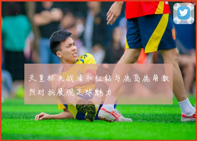 天皇杯决战浦和红钻与鹿岛鹿角激烈对抗展现足球魅力