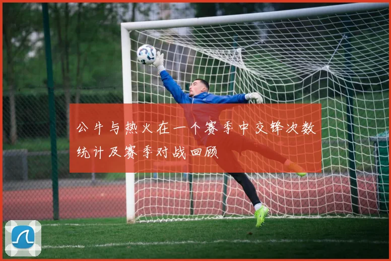 公牛与热火在一个赛季中交锋次数统计及赛季对战回顾