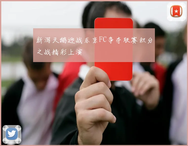 新泻天鹅迎战东京FC争夺联赛积分之战精彩上演