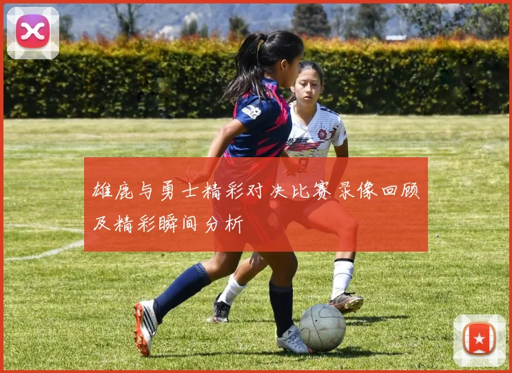 雄鹿与勇士精彩对决比赛录像回顾及精彩瞬间分析