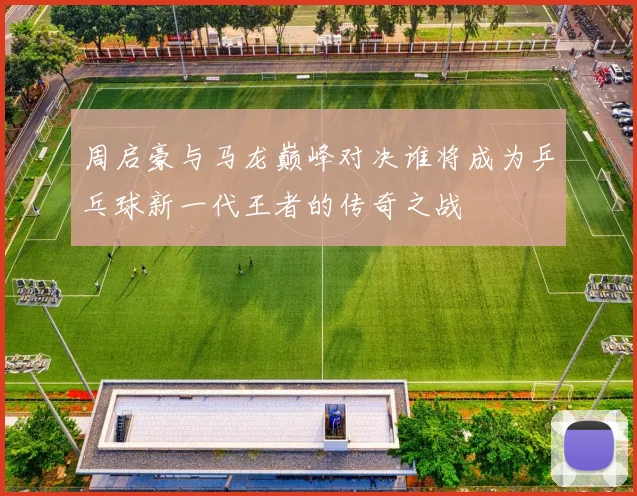 周启豪与马龙巅峰对决谁将成为乒乓球新一代王者的传奇之战