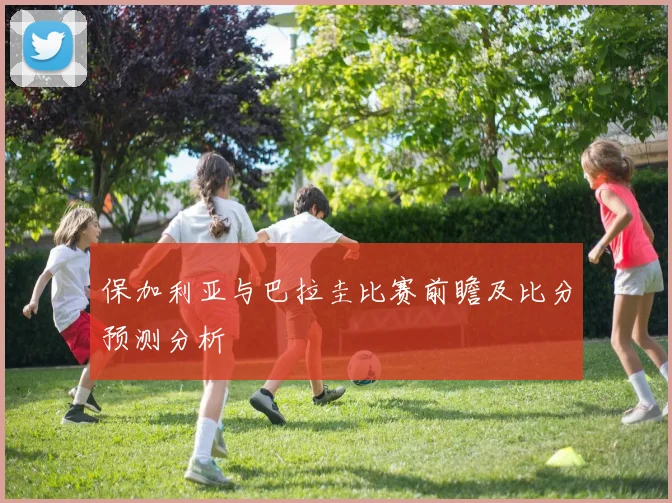 保加利亚与巴拉圭比赛前瞻及比分预测分析