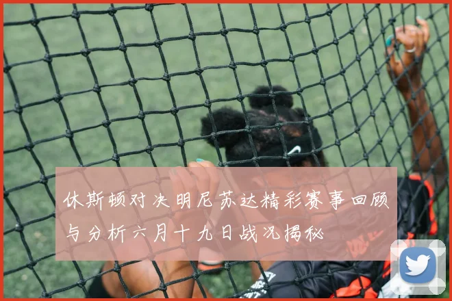 休斯顿对决明尼苏达精彩赛事回顾与分析六月十九日战况揭秘