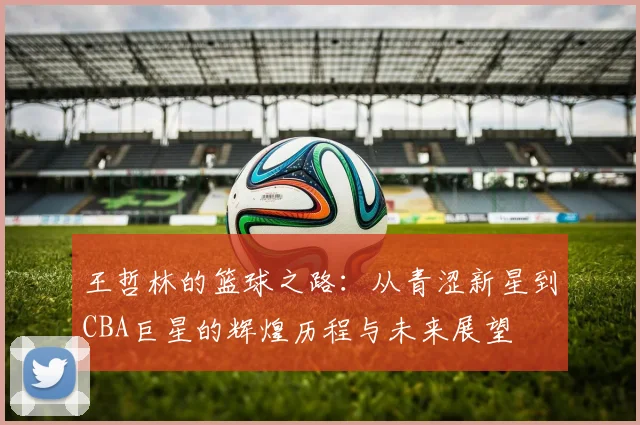 王哲林的篮球之路：从青涩新星到CBA巨星的辉煌历程与未来展望