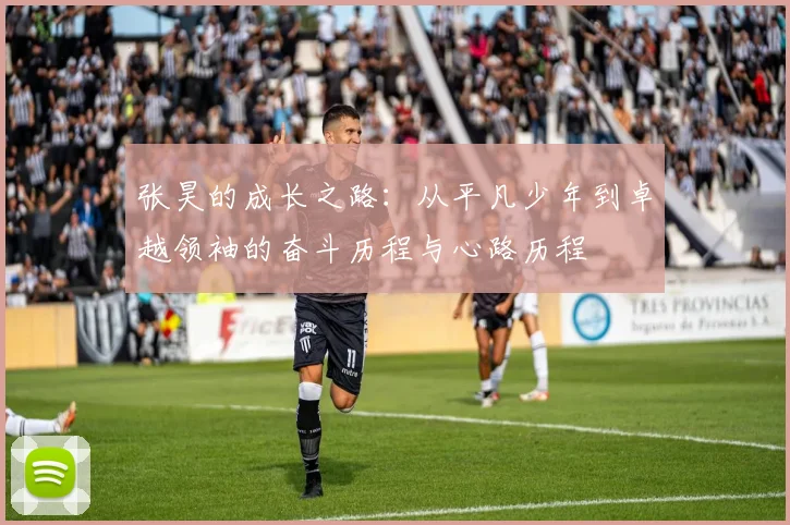 张昊的成长之路：从平凡少年到卓越领袖的奋斗历程与心路历程